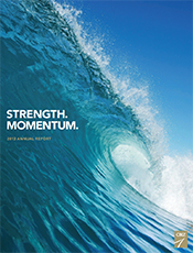 2013 Annual Report 